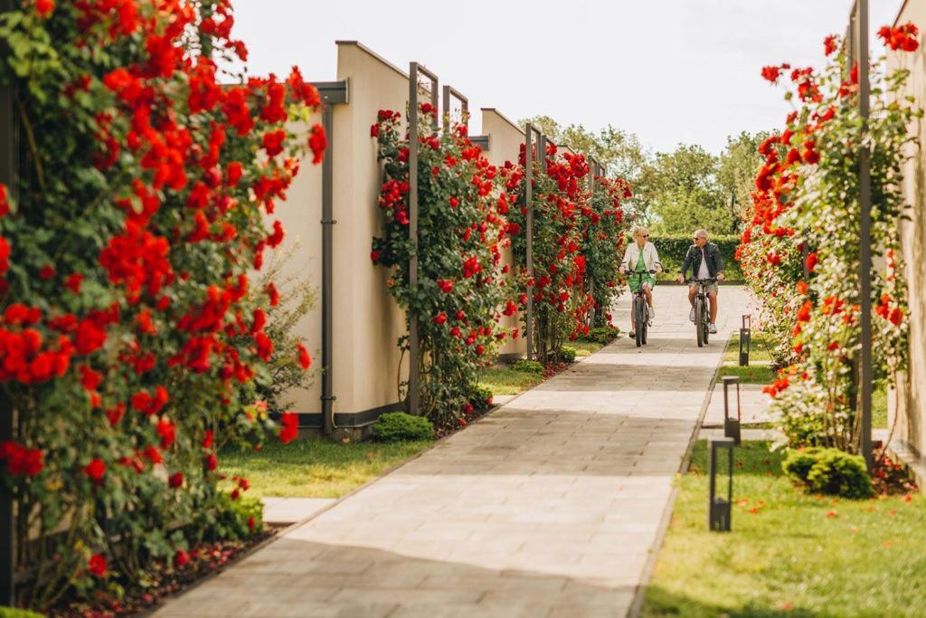 San Servolo Wellness Resort - Adults Only Buje Eksteriør bilde